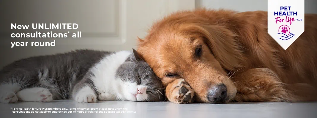 Cat and Dog Pet Health for Life Plans