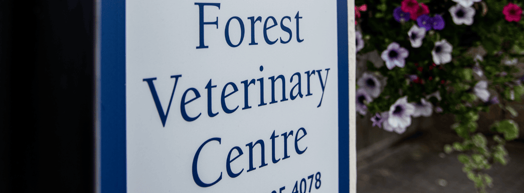 Forest Vets in Essex Isle of Dogs branch