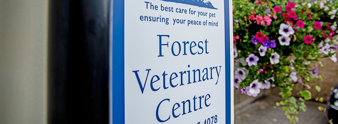 Forest Vets payment policy