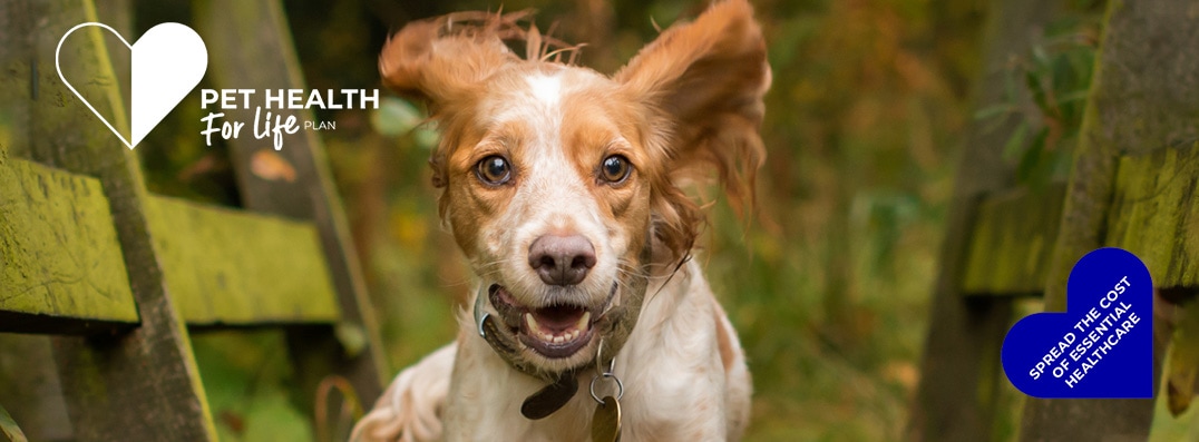 Dog Pet Health for Life Plan