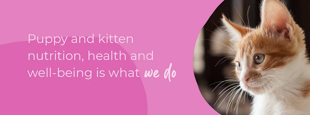 Start of Life for Your Puppy or Kitten