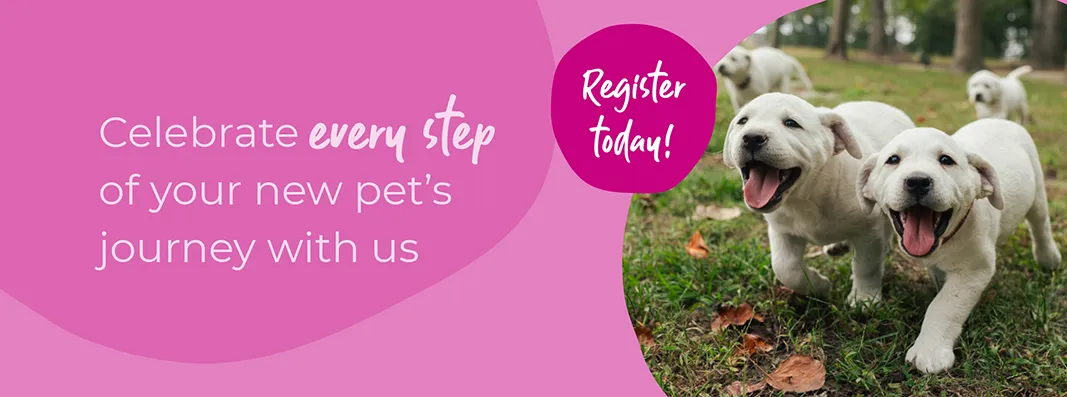 Start of Life for Your Puppy or Kitten