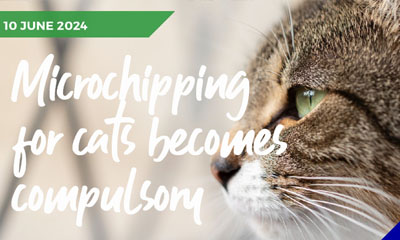 Cat microchipping legislation now confirmed